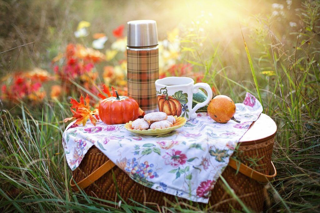 Picnic basket, Discovering Bruges, B&B